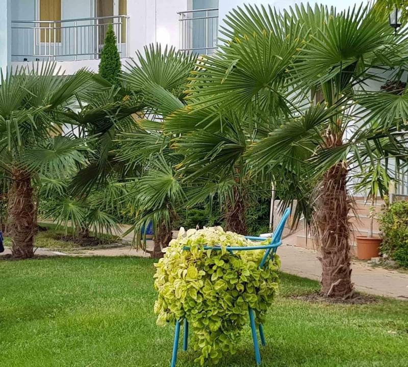Yassen Holiday Village Σάνι Μπιτς Εξωτερικό φωτογραφία