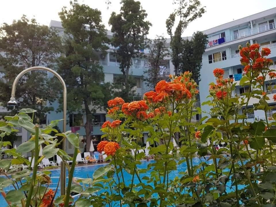 Yassen Holiday Village Σάνι Μπιτς Εξωτερικό φωτογραφία
