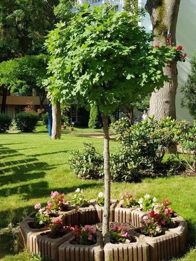 Yassen Holiday Village Σάνι Μπιτς Εξωτερικό φωτογραφία