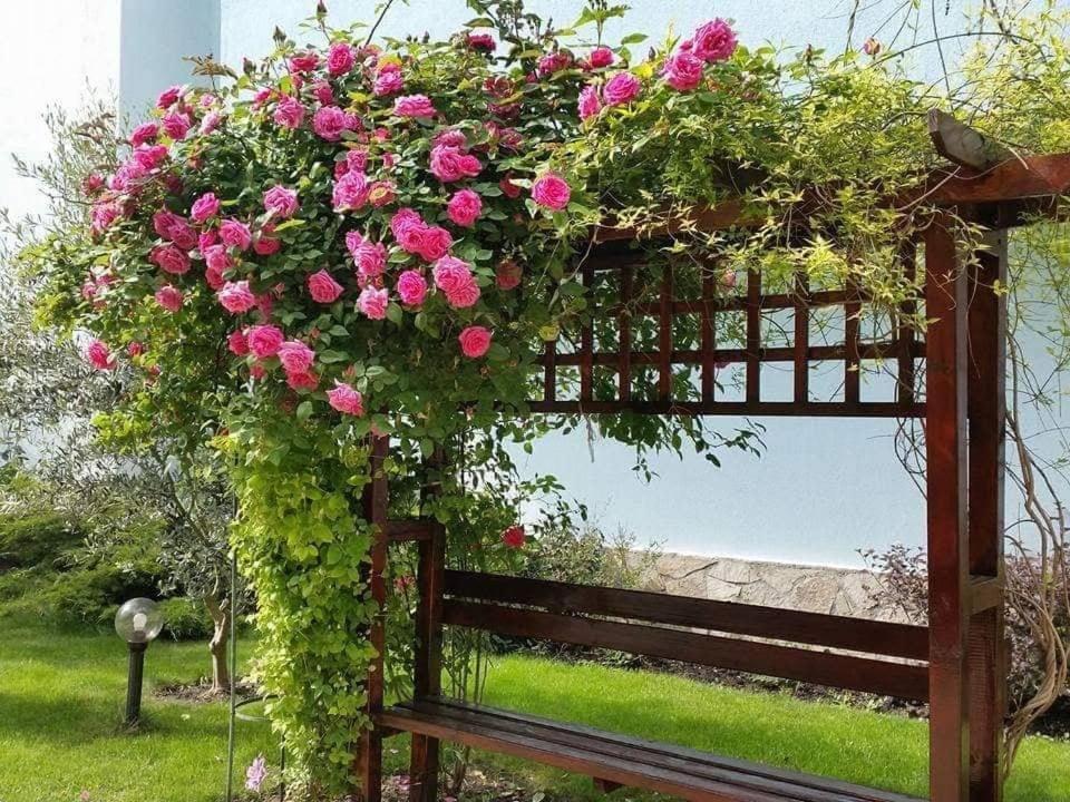 Yassen Holiday Village Σάνι Μπιτς Εξωτερικό φωτογραφία