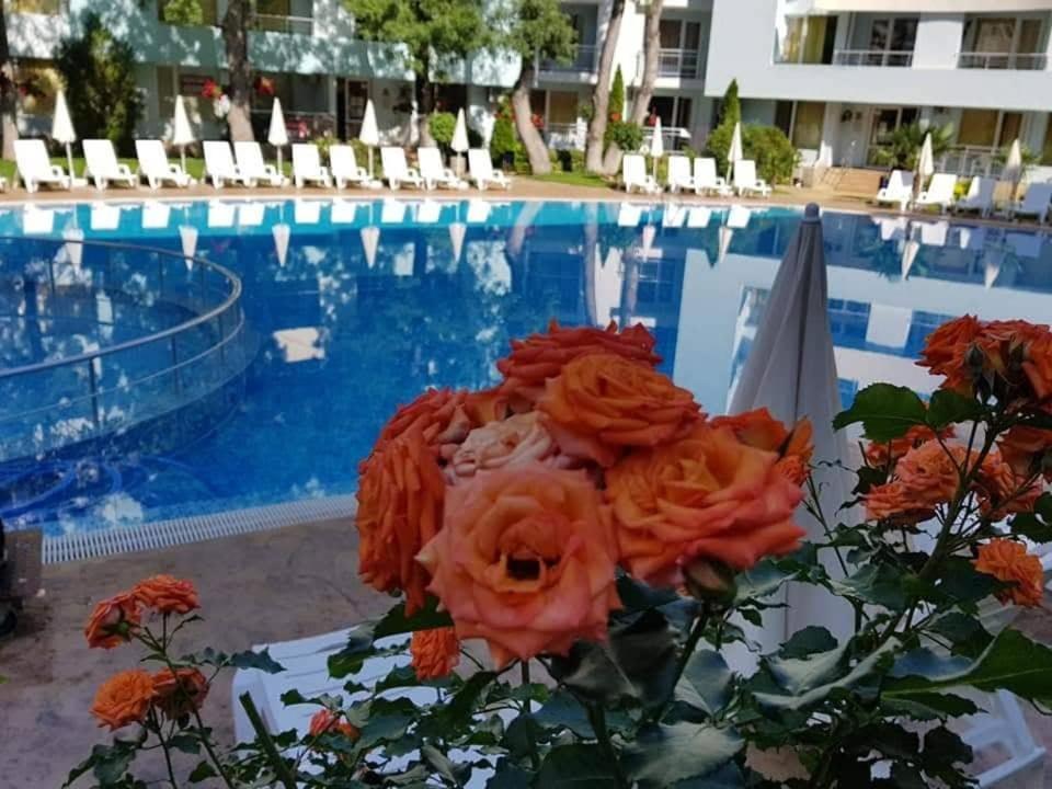 Yassen Holiday Village Σάνι Μπιτς Εξωτερικό φωτογραφία